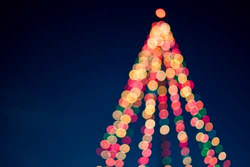 xmas lights